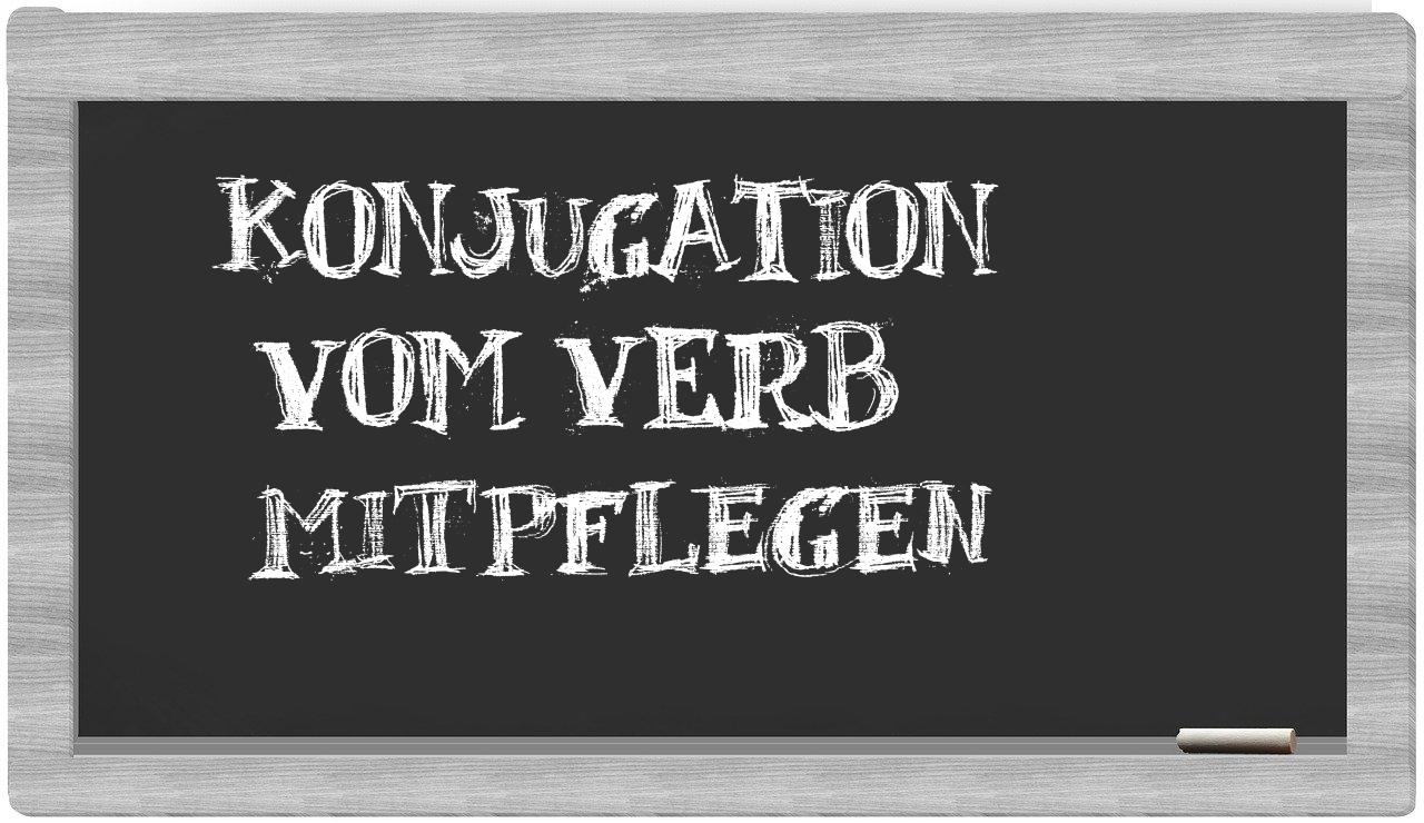 ¿mitpflegen en sílabas?